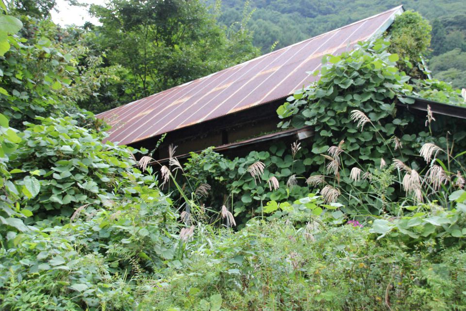 千葉県での外壁塗装の重要性とメリット