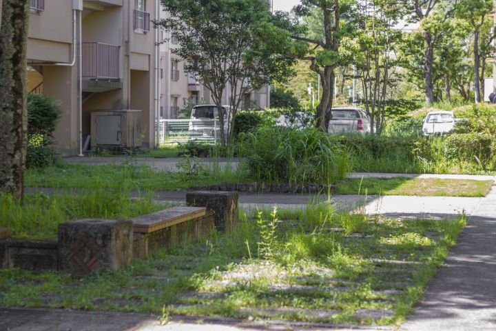 外壁塗装と園芸で叶える美しい住空間